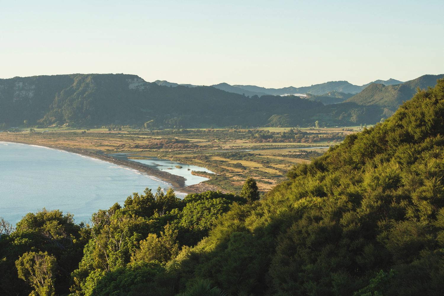What Makes New Zealand's Botanicals So Special? 