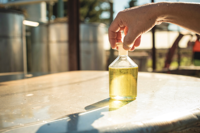 Role of Essential Oils in Antibacterial Skincare