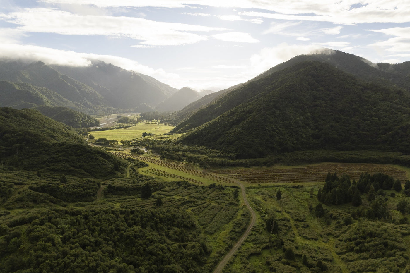 Shop All Natural Skincare Products